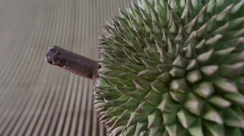 Durian Fruit Stock Footage 32163070