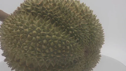 Durian fruit Stock Footage 126108832