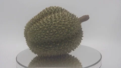 Durian fruit Stock Footage 126108920