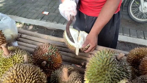 Durian fruit Stock Footage 232983509