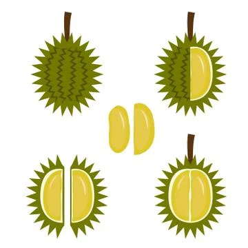 Durian fruit icon in flat style Stock Illustration