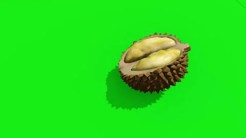 Durian Fruit Isolated Video stock 319884551