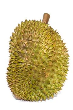 Durian fruit isolated white background Stock Photos