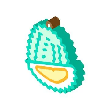 Durian fruit isometric icon vector illustration Stock Illustration