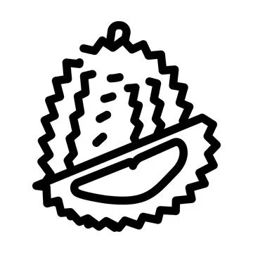 Durian fruit line icon vector illustration Stock Illustration