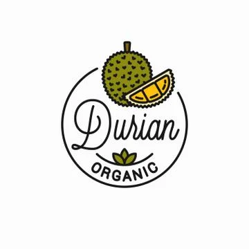 Durian fruit logo. Round linear of durian slice Illustrazione stock