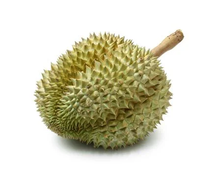 Durian fruit Stock Photos