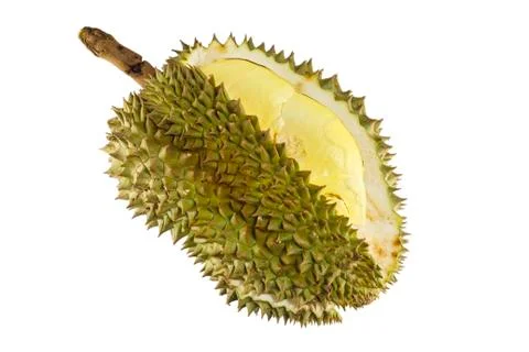 Durian fruit Stock Photos