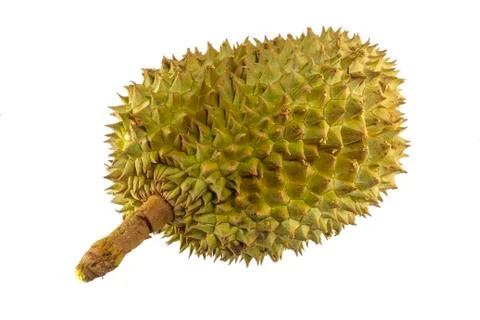 Durian fruit Stock Photos