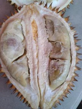 Durian fruit Stock Photos