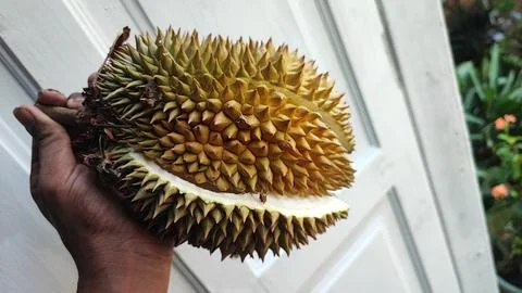 Durian fruit Foto stock