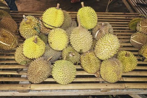Durian fruit Stock Photos