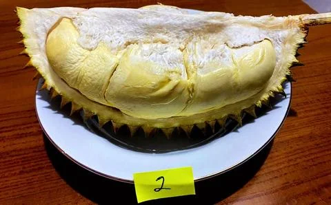 Durian fruit Stock Photos