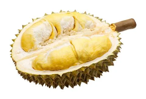 Durian fruit portion isolated Stock Photos