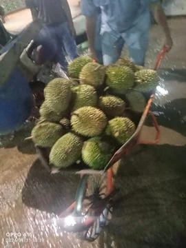 Durian fruit on a rickshaw Stock Photos
