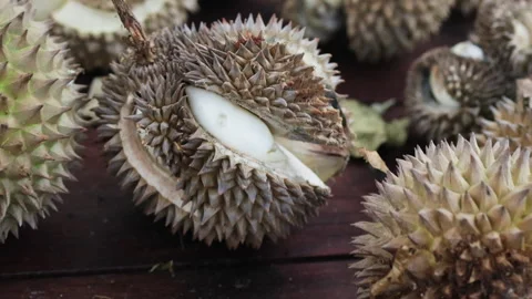 Durian fruit on rustic wooden table. Stock Footage 275248667