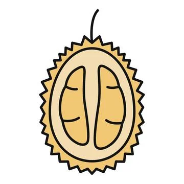 Durian fruit section flat cartoon drawing design Stock Illustration