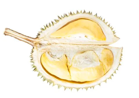 Durian fruit section isolated on white background Stock Photos