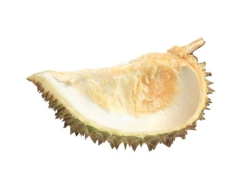 Durian fruit shell Stock Photos