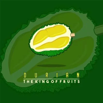 Durian fruit Vector Illustration Stock Illustration