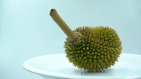 Durian fruit in white background. Stock Footage 124088207