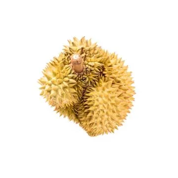 Durian fruit on white background Foto stock