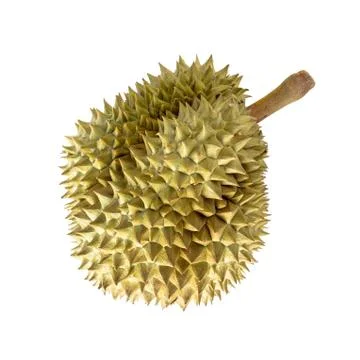 Durian fruit on white background Stock Photos