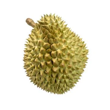 Durian fruit on white background Stock Photos