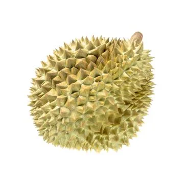 Durian fruit on white background Stock Photos