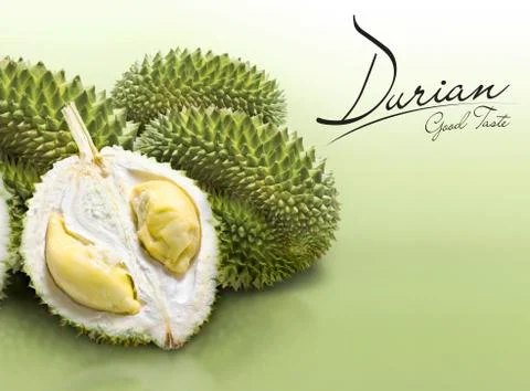 Durian on green solid background Stock Photos