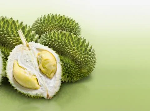 Durian on green solid background Stock Photos