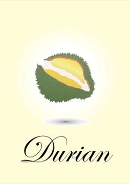 Durian Illustrazione stock