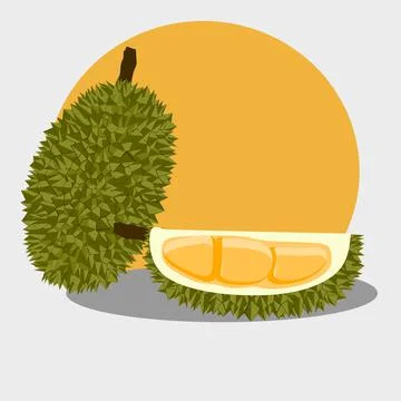Durian Stock Illustration