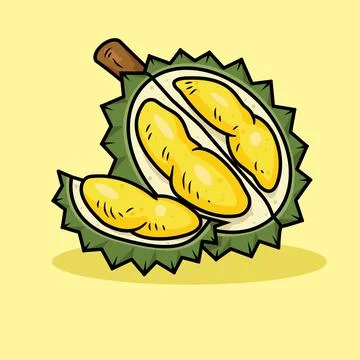 Durian Stock Illustration