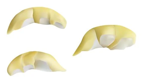 Durian Stock Illustration