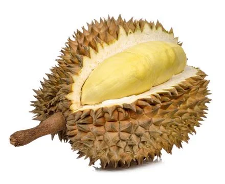 Durian isolated on the white background Stock Photos