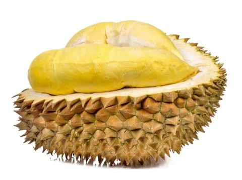 Durian isolated on the white background Stock Photos