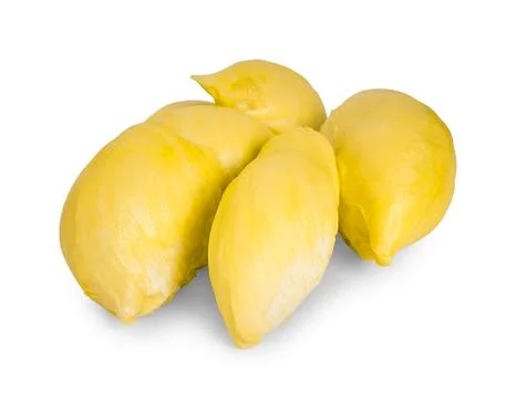 Durian isolated on white background Stock Photos