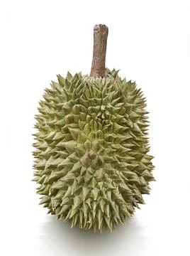 Durian isolated on white background Foto stock
