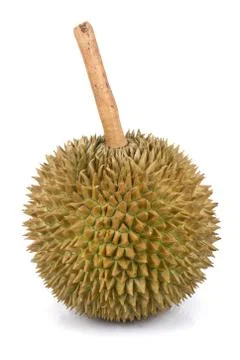 Durian King of fruit Stock Photos