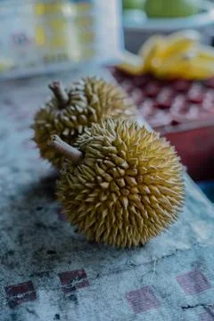 Durian lies on the table Stock Photos