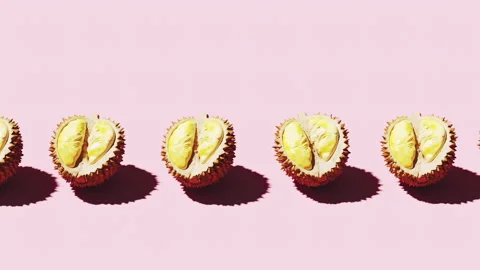 Durian looping animation on a Pink backg... | Stock Video | Pond5