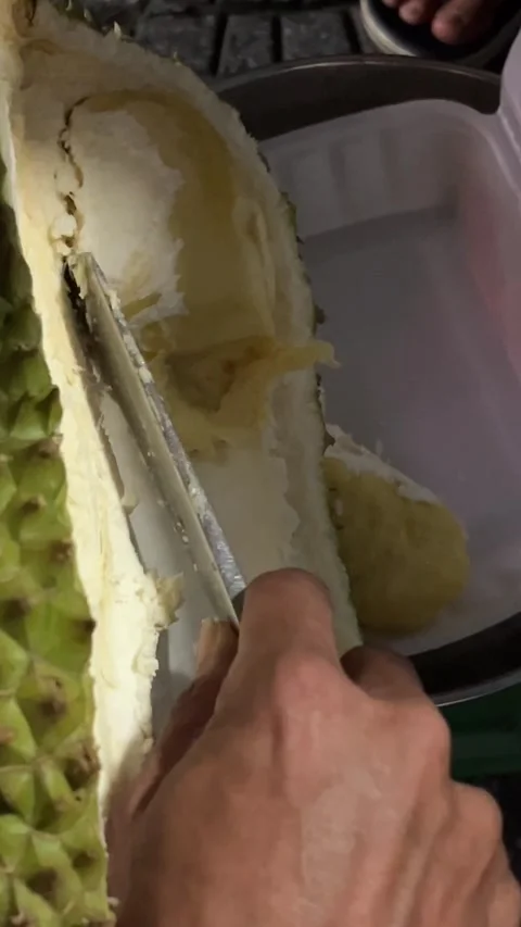 Durian packaging preparation fruit and vegetable shop keeper preparing and Stock Footage 308338528