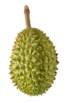 Durian Foto stock