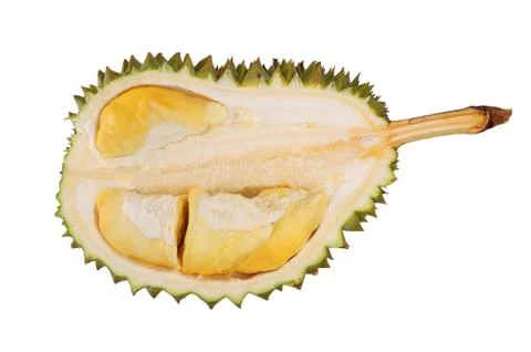 Durian Stock Photos