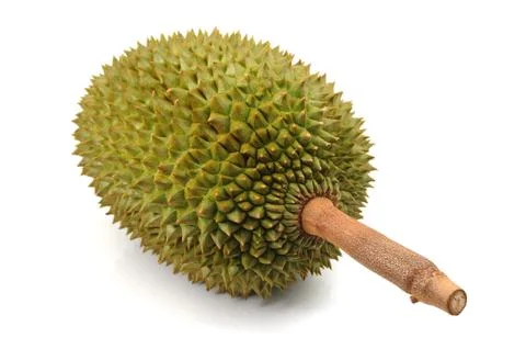 Durian Foto stock