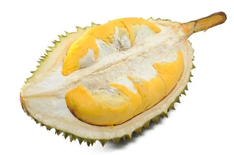 Durian Stock Photos