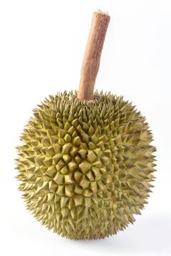 Durian Stock Photos