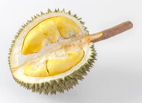 Durian Stock Photos