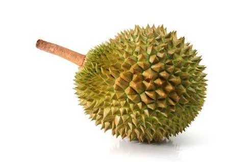 Durian Stock Photos